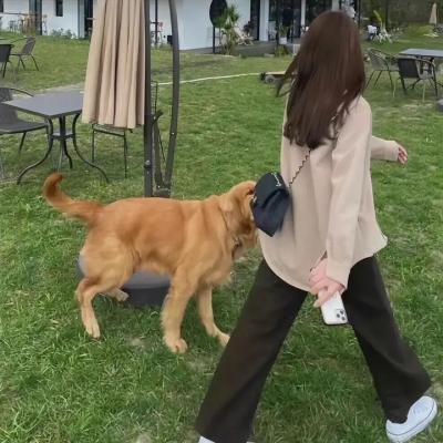 懒女苏